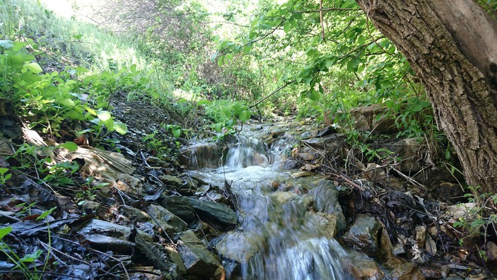 Beatty watercourse