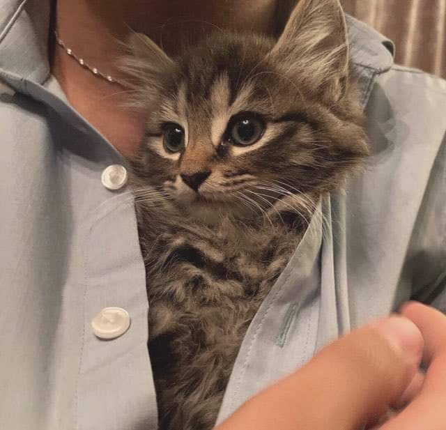 ❤️