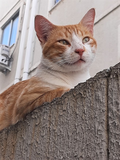 Chilling Out
