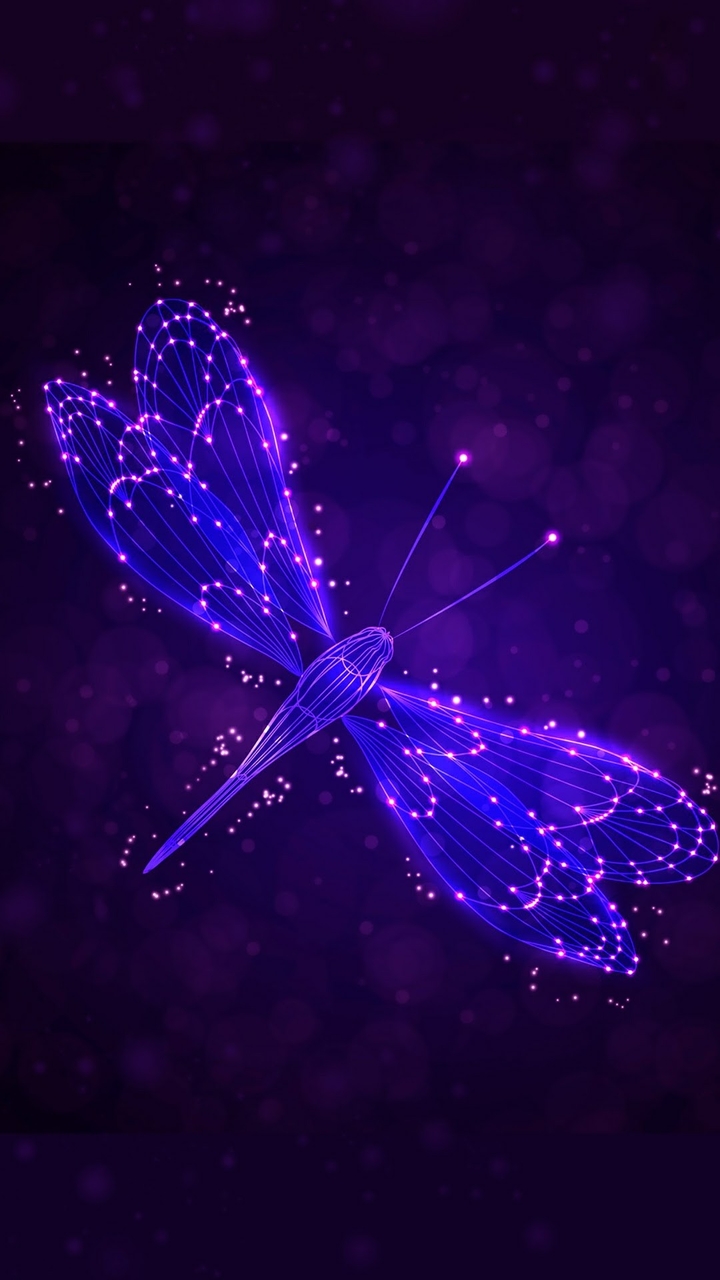 fly