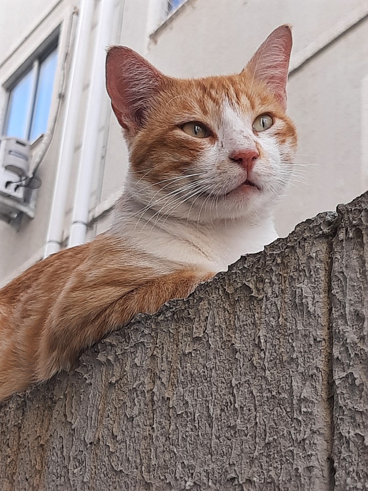 Chilling Out