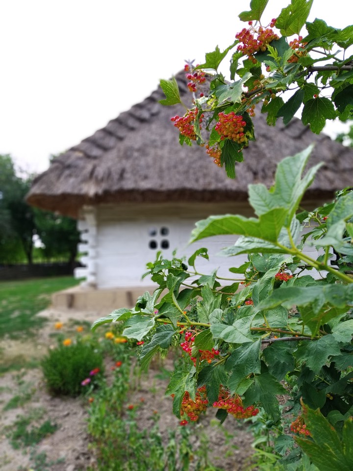 T.Shevchenko house