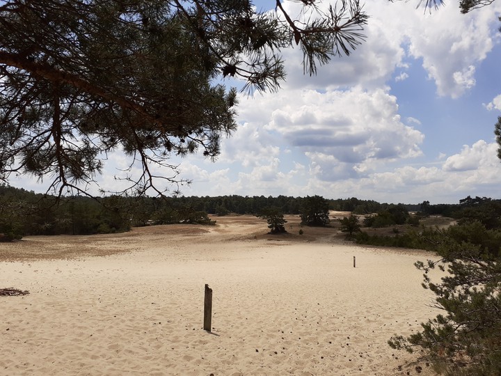 Veluwe