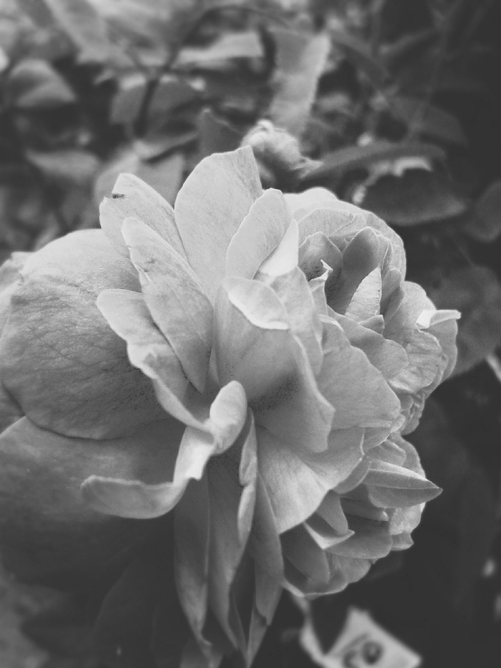 I see everything in black and white