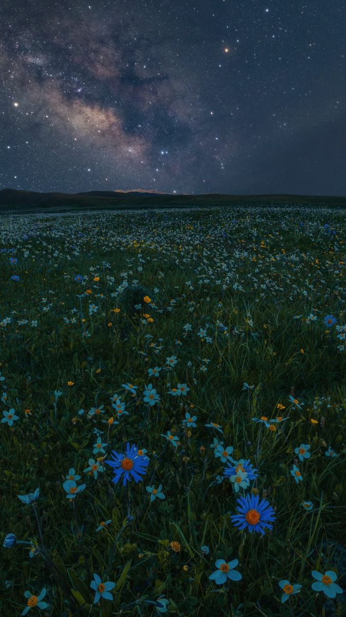 blue
