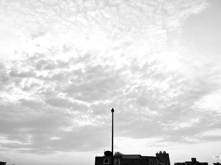 Only from the heart can you touch the sky - Rumi
