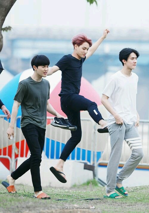 suho sehun kai
