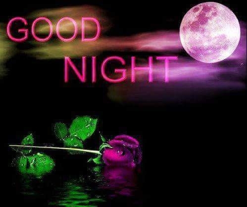 Good Night my Friends.Thank yuo my friend for my Bildern to