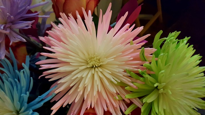 flowers