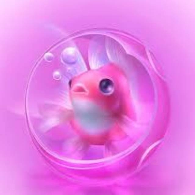 A fish