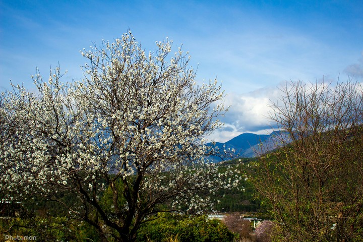 Bluesky