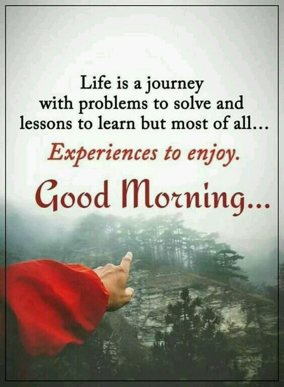 Good morning ✅✅