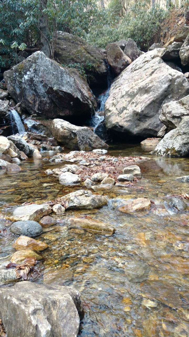 Stream at North Carolina