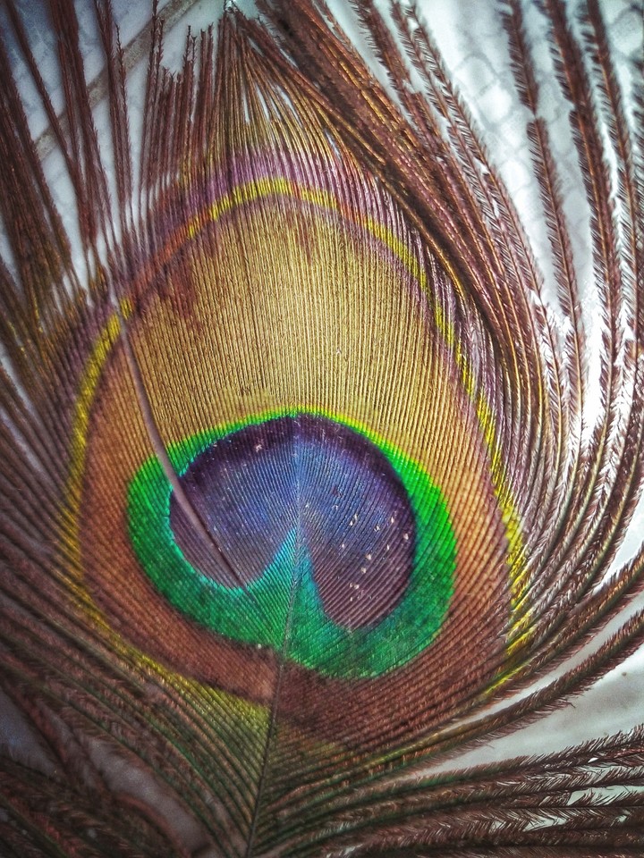 mesmerizing