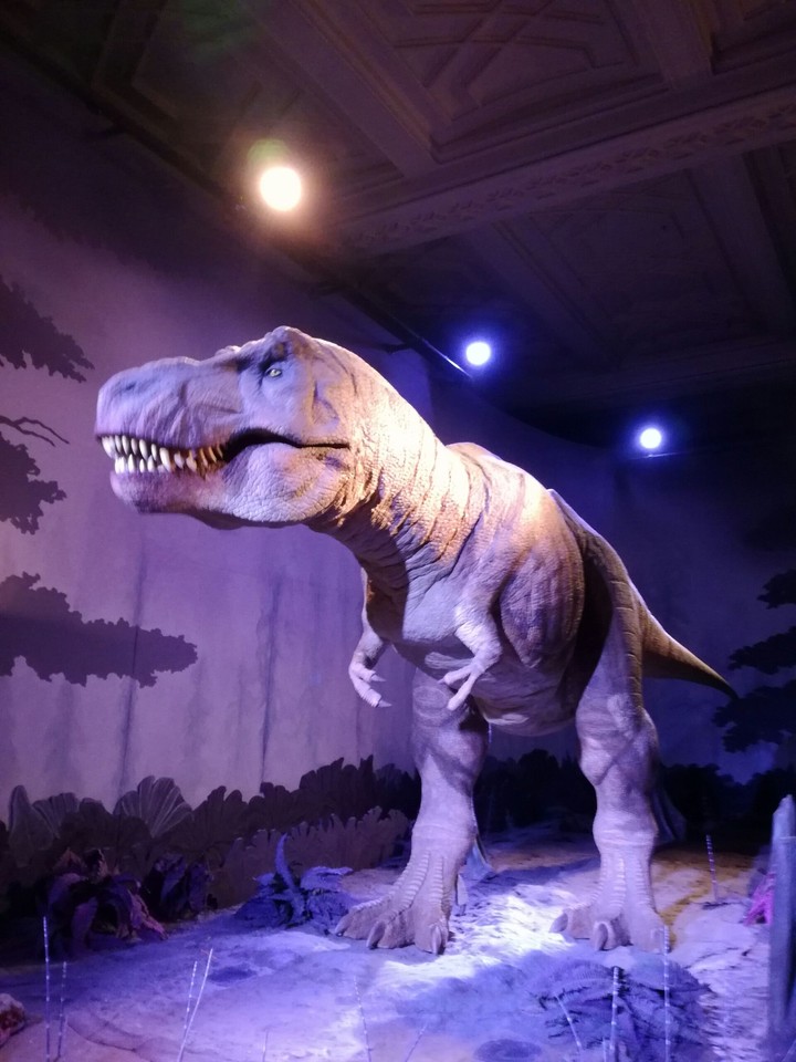T-rex