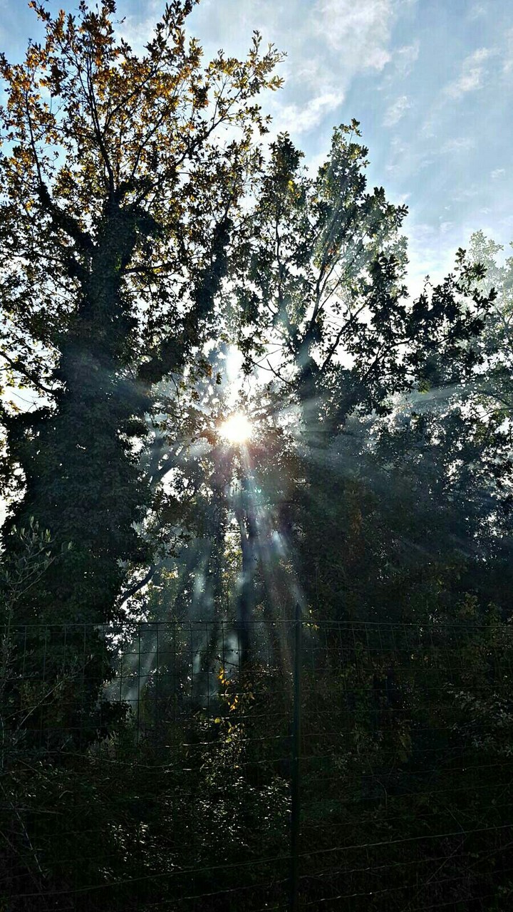 sunny day