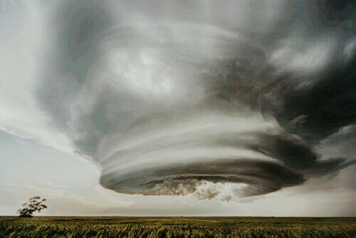 TORNADO