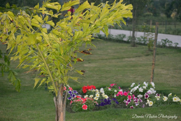 colours of life