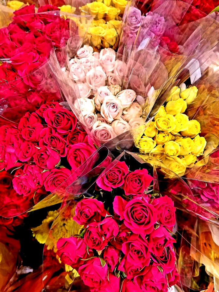 Roses on sale