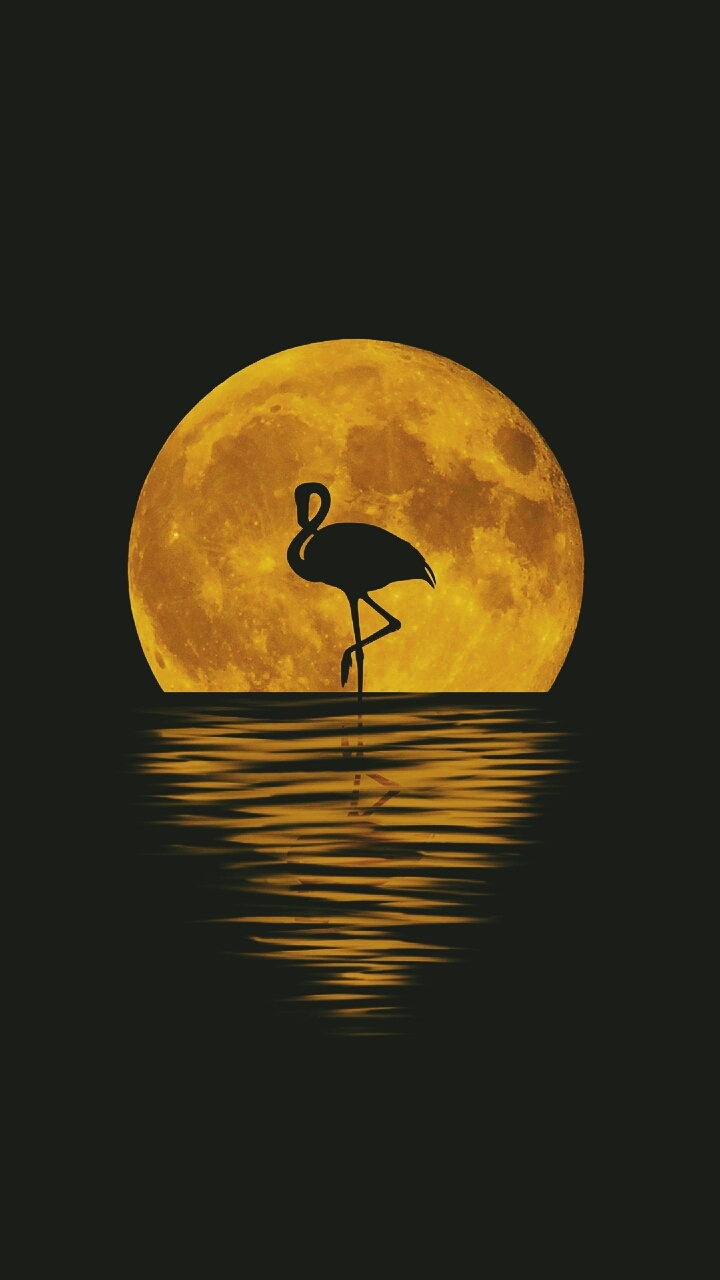 creative