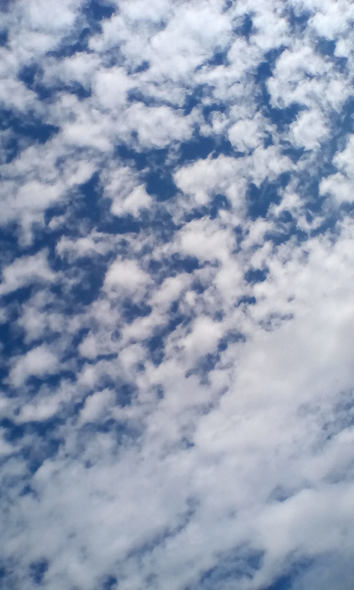 evening sky