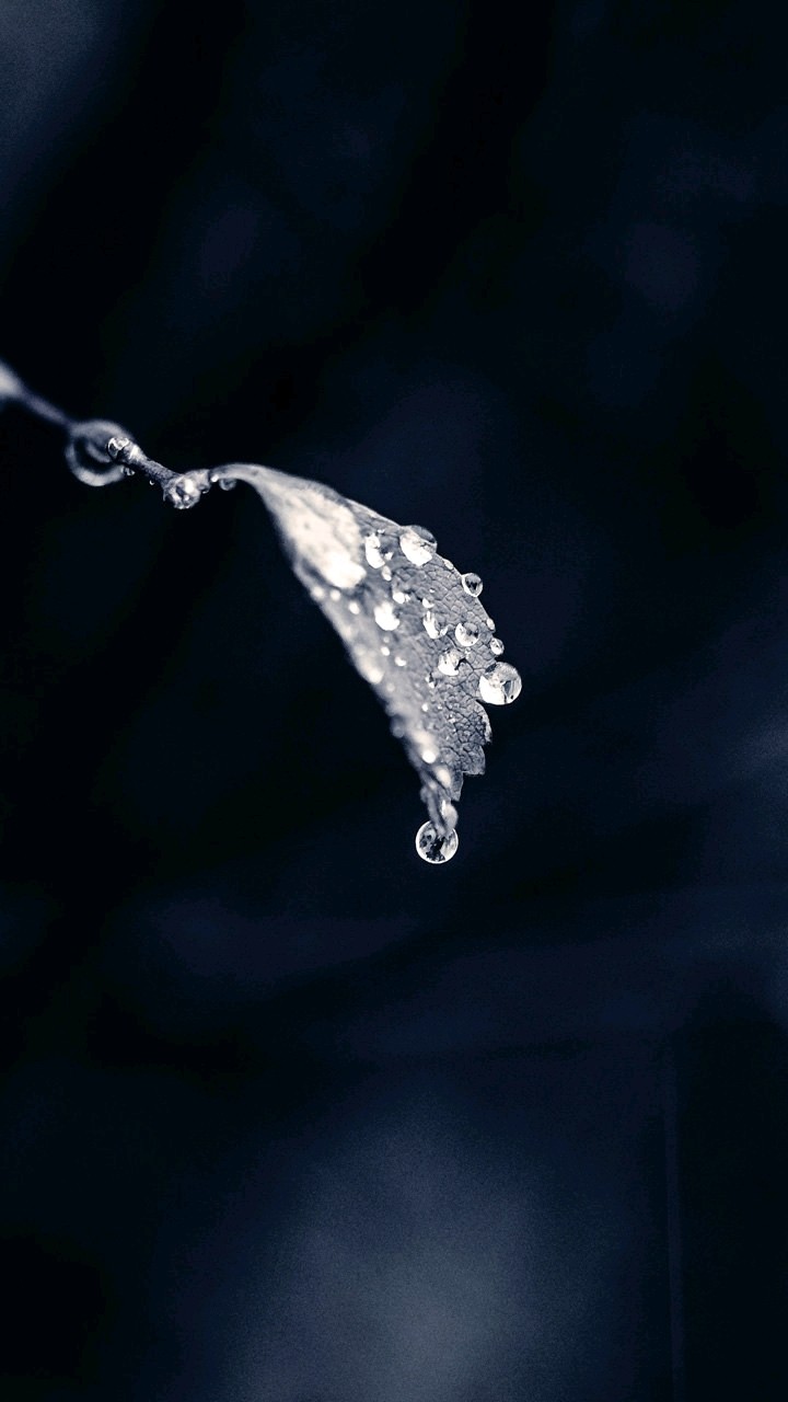 La goutte.