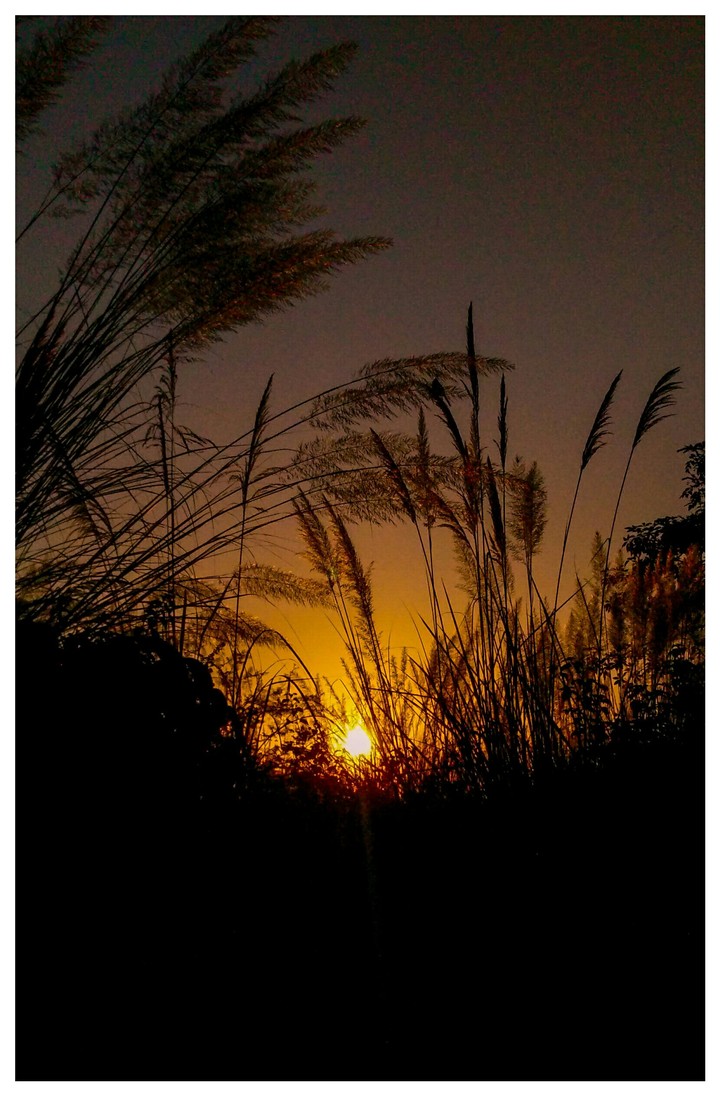 sunrise