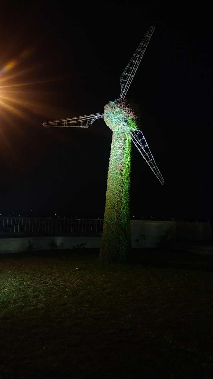windmill