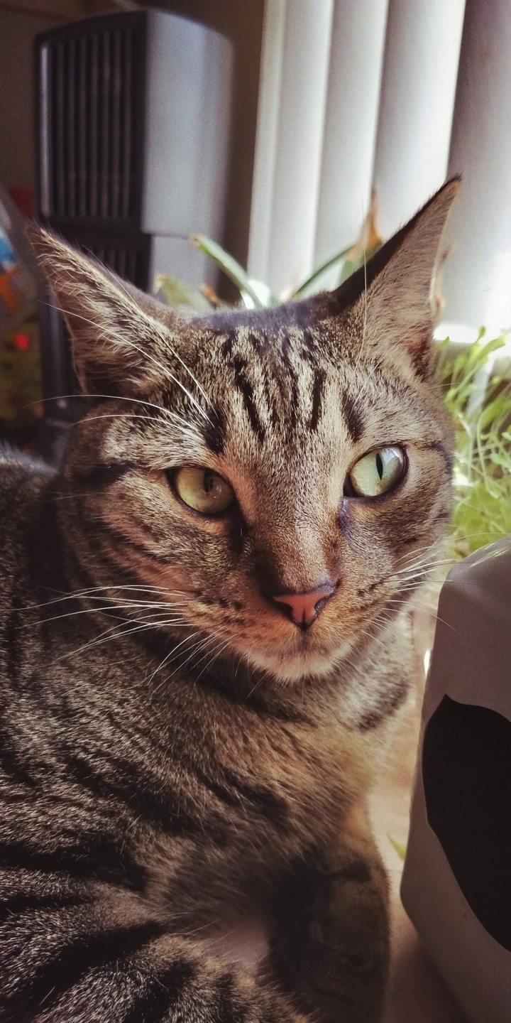 Beautiful Glossy Eyes
