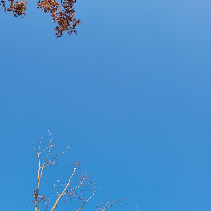 bluesky