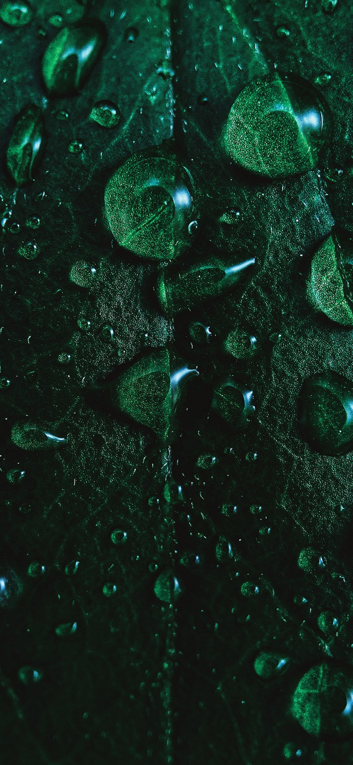 Wallpaper