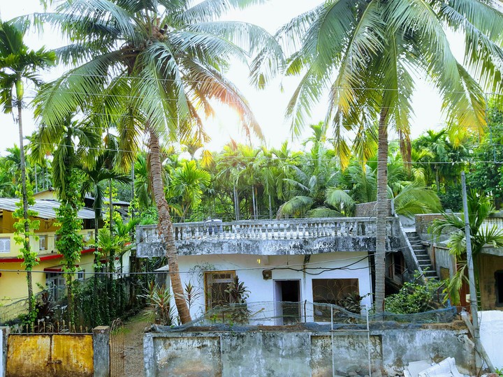 My Farm House