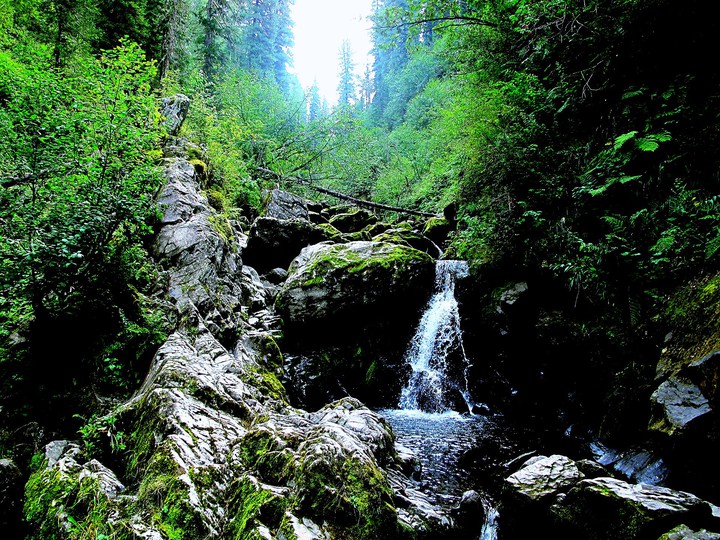Altai