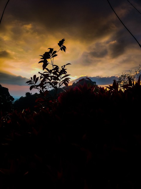 Darkness