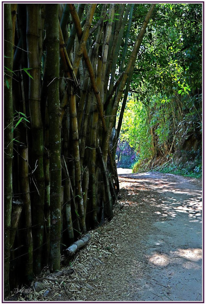 Caminhos de Vera Cruz, Miguel Pereira RJ