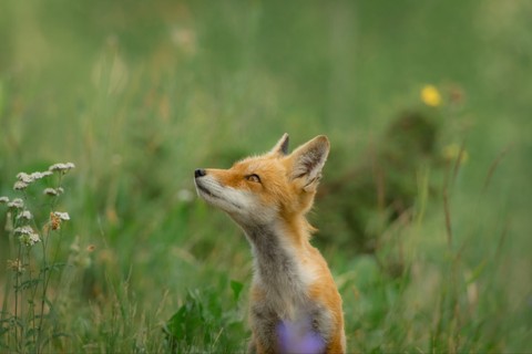 how cute...