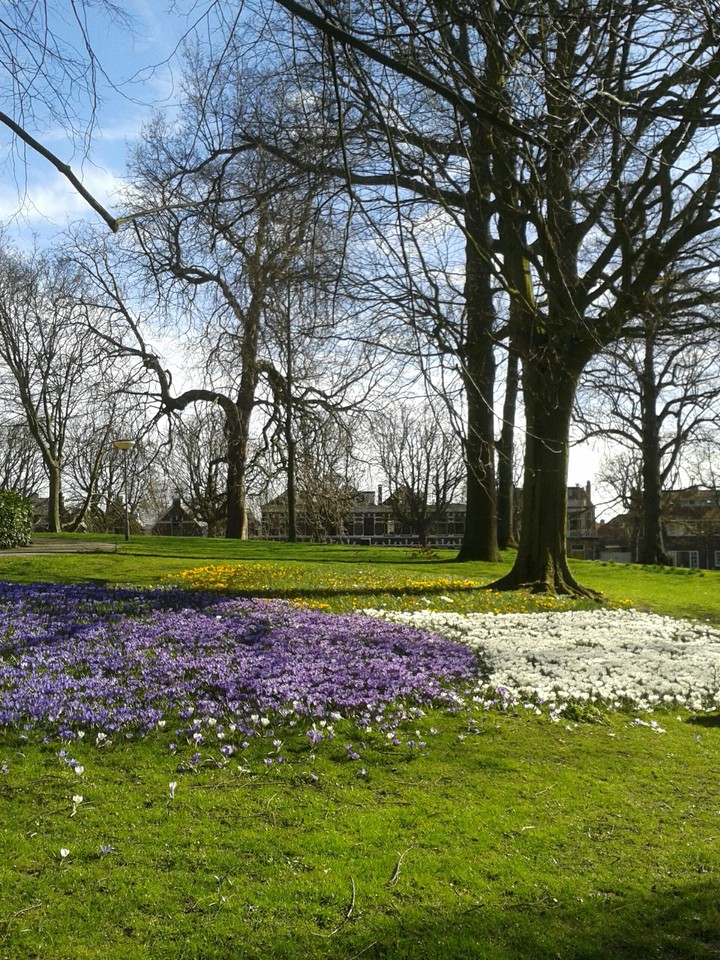 Netherlands