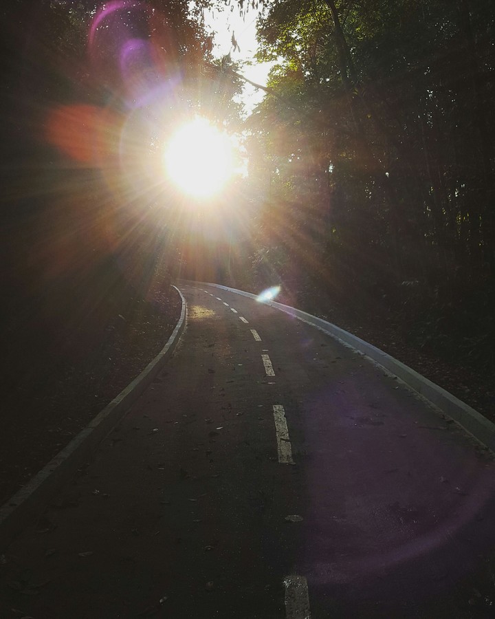 siga em direção à luz