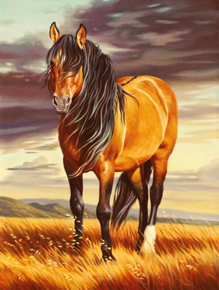 Canvas Horse