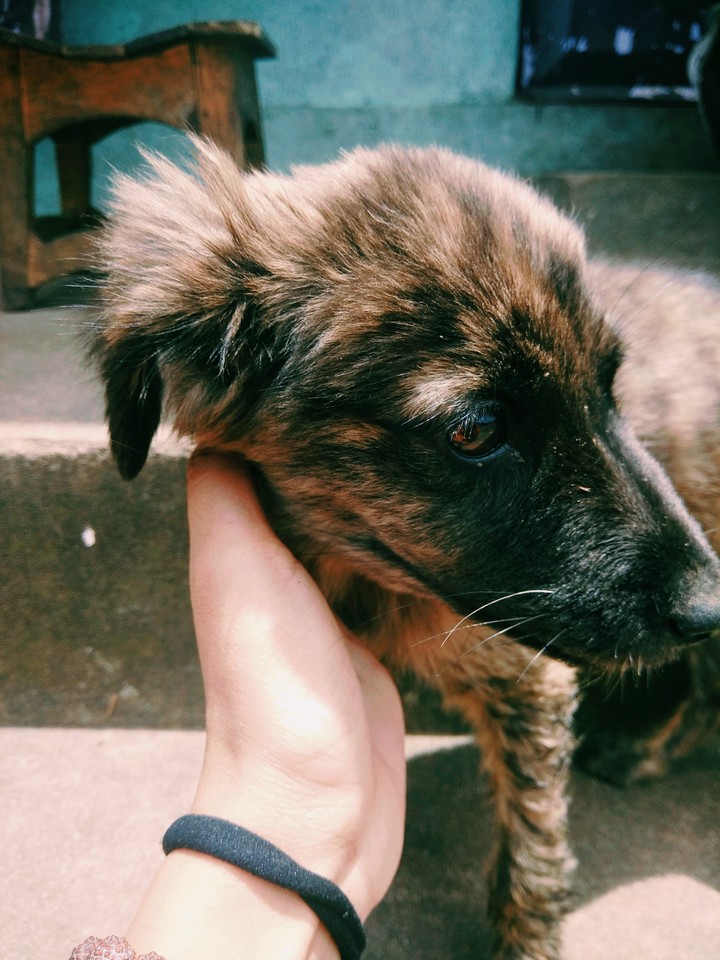 The kind heart