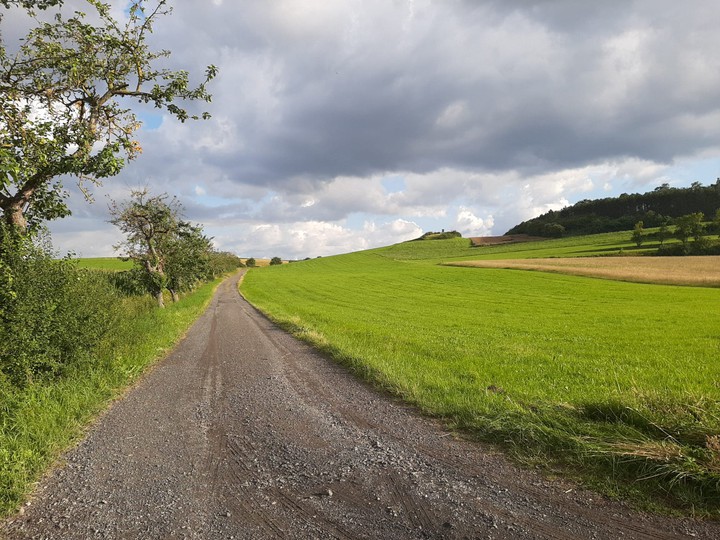дорога, road