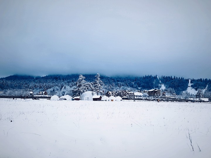 Village
