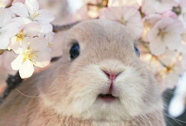 ♥