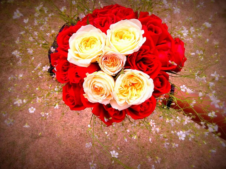 25 Rose