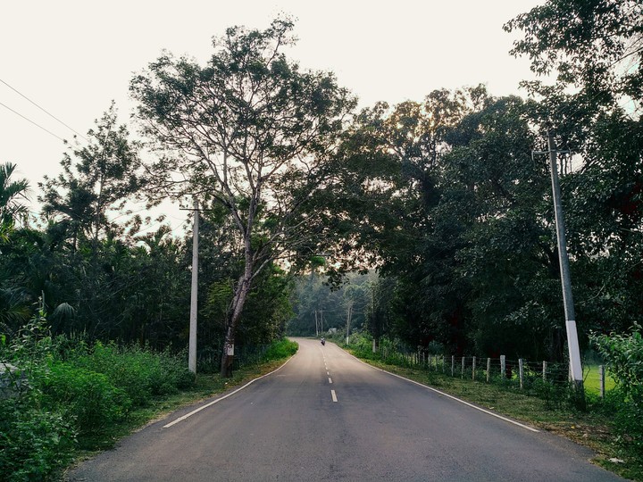 roads