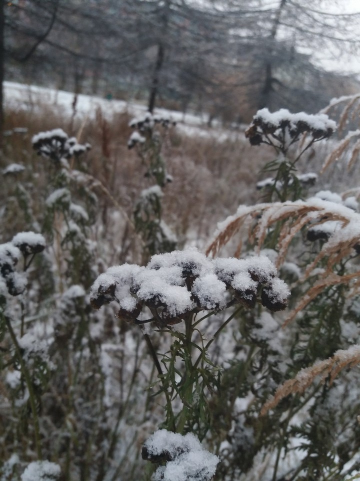 winter