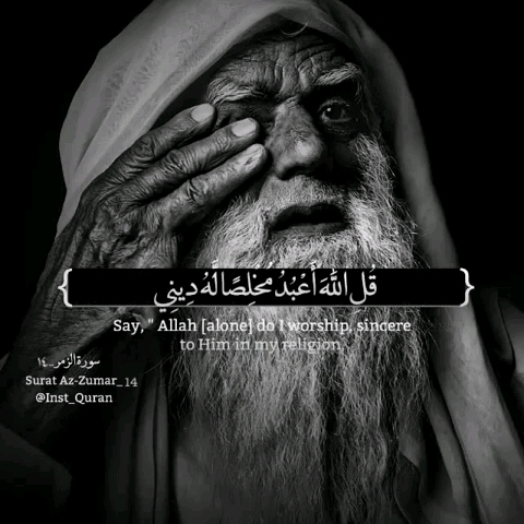 The Holy Quran