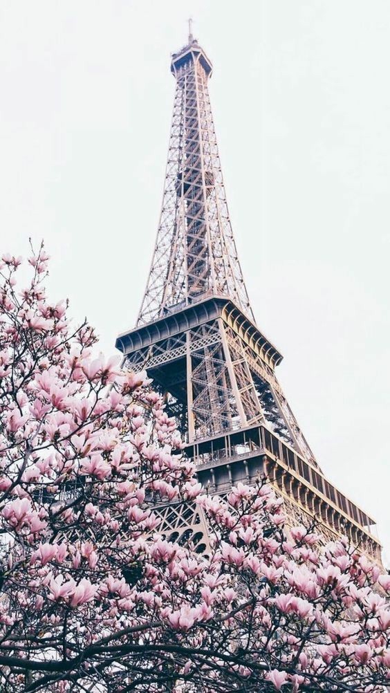 PARiSienses