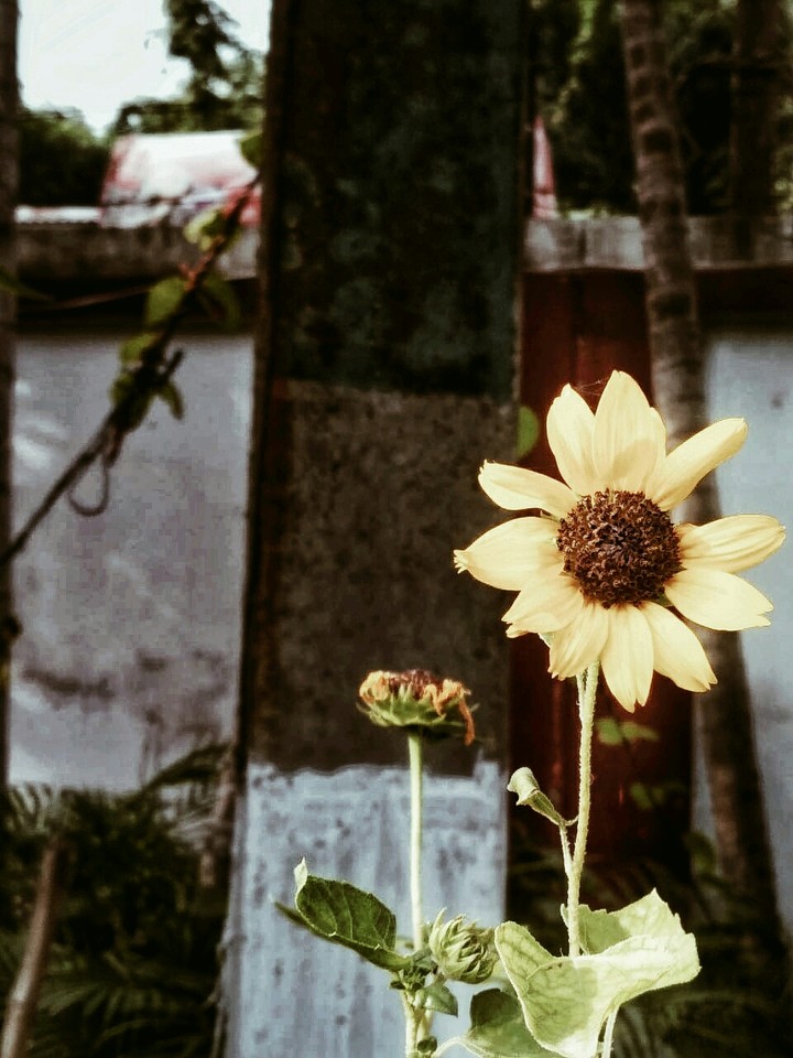 Summer