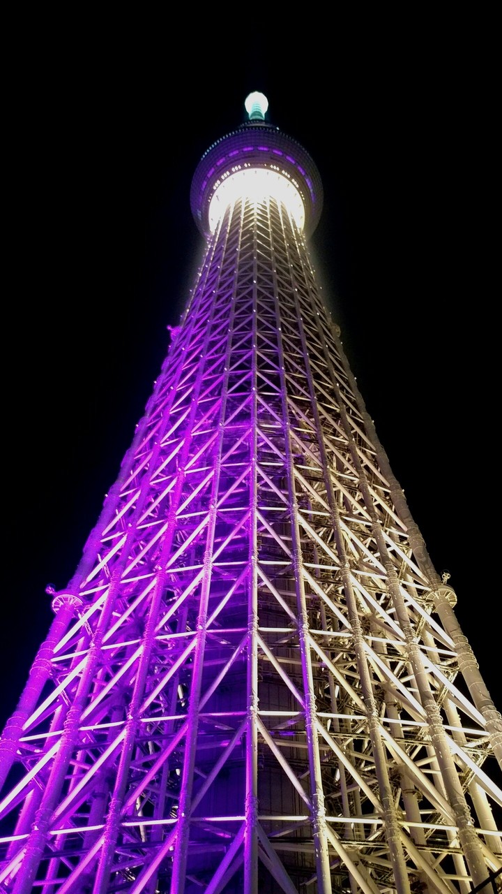 Tokyo nights